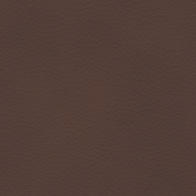 Palomachocolate